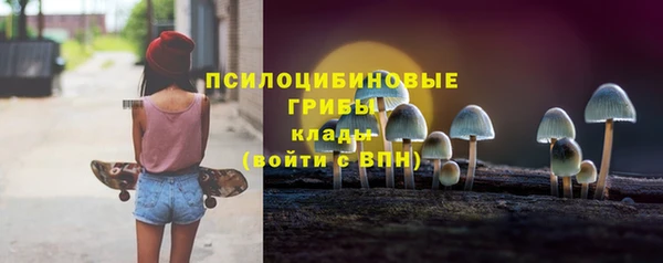 мдма Дмитриев