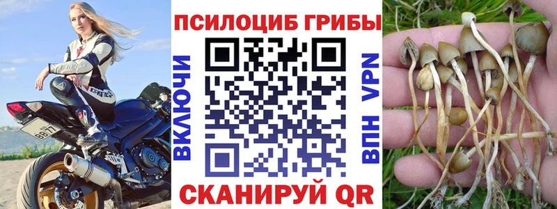Галлюциногенные грибы мухоморы  Заволжье 